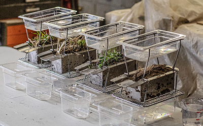 Samples in metal containers with clear buckets to catch water runoff.