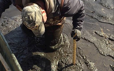 Sediment in Dorn Creek