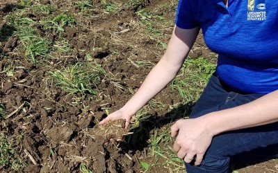 Examining Soil and Tillage