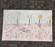 poster showing soil life and all four seasons, hand drawn with browns, blues and greens