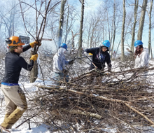 Volunteer Opportunities