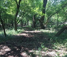 Glacial Drumlin Trail