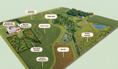 Illustration of a Conservation System with practices that reduce soil disturbance, maximize continuous roots and soil cover, and reduce runoff.