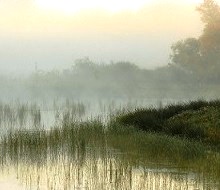 Agricultural Wetland Mitigation Bank