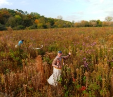 Walking Iron Wildlife Area – Wetland Restoration