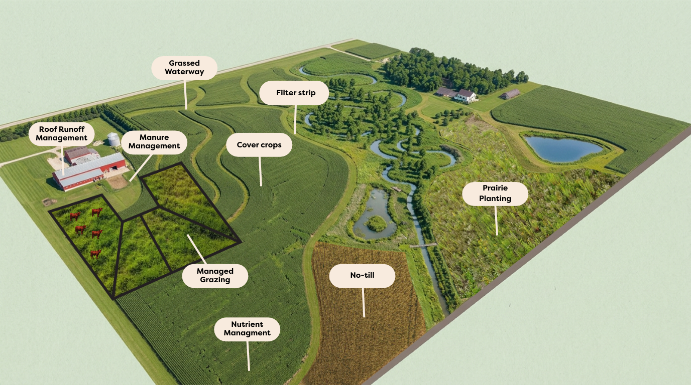 Illustration of a Conservation System with practices that reduce soil disturbance, maximize continuous roots and soil cover, and reduce runoff.
